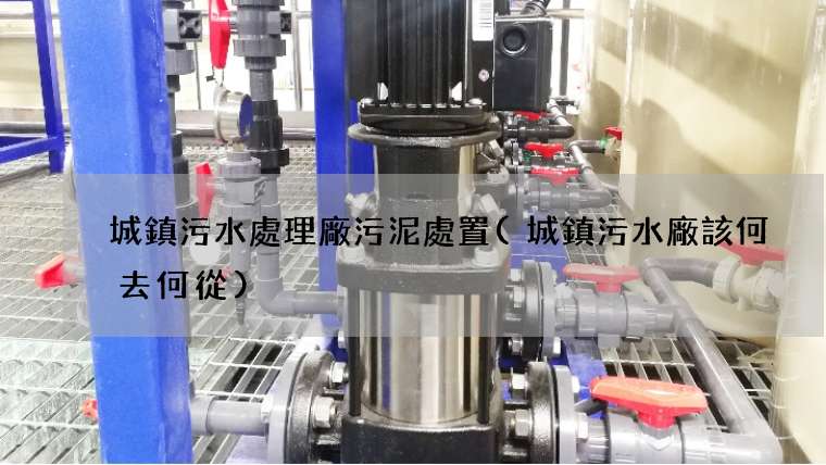 城鎮污水處理廠污泥處置(城鎮污水廠該何去何從)